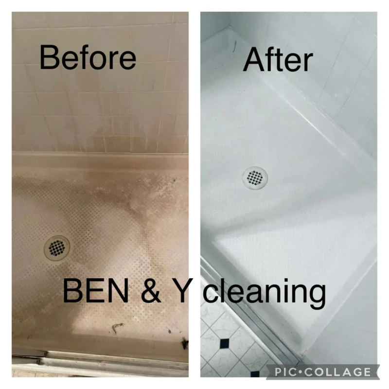Professional Cleaning Services